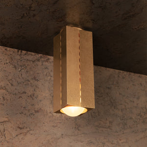 Polaris Ceiling Light