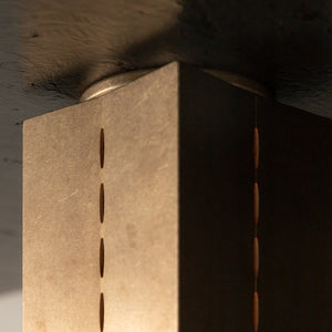 Polaris Ceiling Light