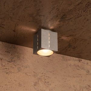 Polaris Ceiling Light