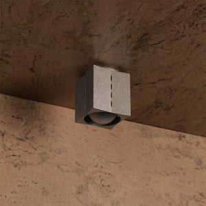 Polaris Ceiling Light