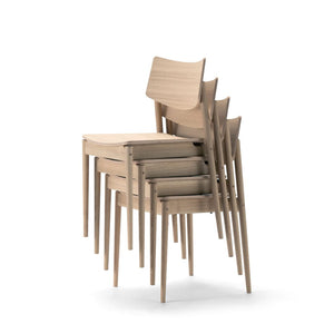 A-DC01 Dining Chair