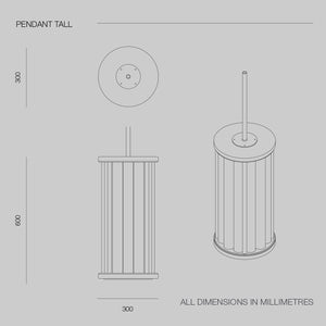 Ion Pendant Lamp