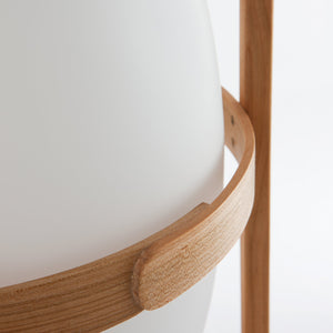 Cesta Lamp
