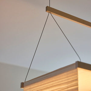Veil Pendant Light