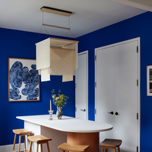 Veil Pendant Light