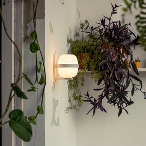 Wally Cestita Wall Light