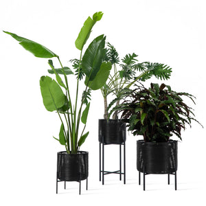 Ivo Plant Stand